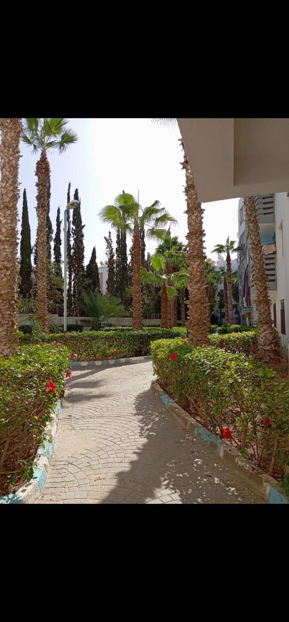 With Adil Amezing Appartement Agadir